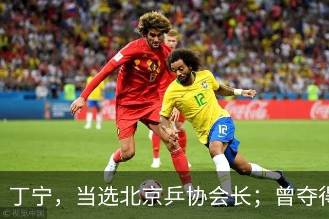 丁宁，当选北京乒协会长；曾夺得21个世界冠军头衔，是乒乓球“大满贯”得主