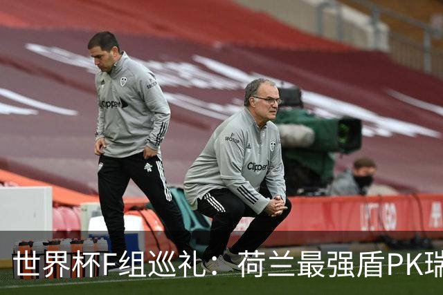 世界杯F组巡礼：荷兰最强盾PK瑞典犀利刀 日本短板明显