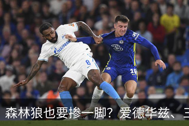 森林狼也要掺一脚？爱德华兹、三球联手招募，詹姆斯去向即将揭晓