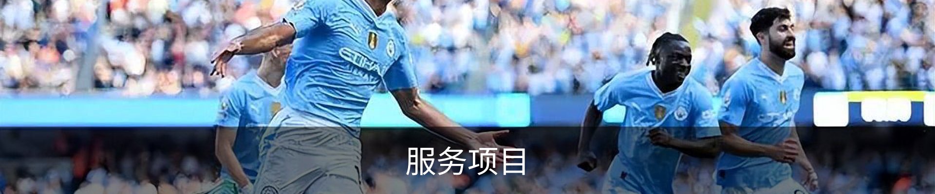 服务项目